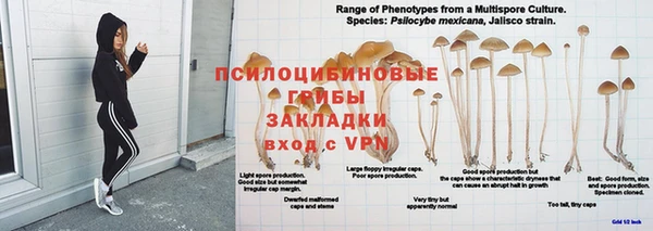 соль ск Алзамай