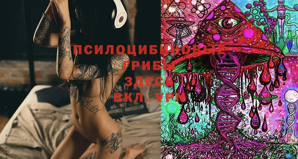 MDMA Premium VHQ Алексеевка