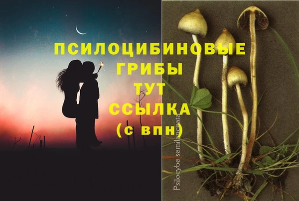 MDMA Premium VHQ Алексеевка