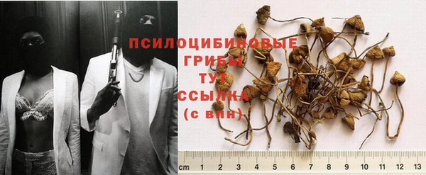 не бодяженный Алексин