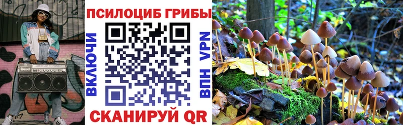 наркота  Артёмовский  Галлюциногенные грибы Psilocybine cubensis 